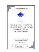phân tích rủi ro tín dụng tại ngân hàng thương mại cổ phần đại chúng việt nam chi nhánh cần thơ