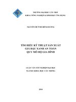 tìm hiểu kỹ thuật sản xuất giá đậu xanh an toàn quy mô hộ gia đình