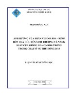 ảnh hưởng của phân vi sinh bio – king bón qua gốc đến sinh trưởng và năng suất của giống lúa om4900 trồng trong chậu ở vụ thu đông 2013