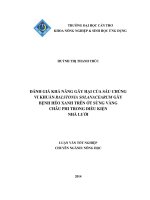 đánh giá khả năng gây hại của sáu chủng vi khuẩn ralstonia solanacearum gây bệnh héo xanh trên ớt sừng vàng châu phi trong điều kiện nhà lưới