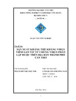 sản xuất kháng thể kháng virus viêm gan vịt từ chủng virus phân lập được trên địa bàn thành phố cần thơ