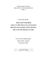 phân tích tình hình cho vay tiêu dùng của ngân hàng thương mại cổ phần công thương việt nam chi nhánh cần thơ