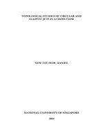 Topological studies of circular and elliptic jets in a cross flow 