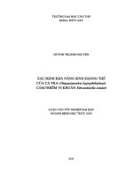 xác định khả năng sinh kháng thể của cá tra (pangasianodon hypophthalmus) cảm nhiễm vi khuẩn edwardsiella ictaluri