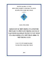 khảo sát sự biến động của enzyme phytase và phytate trong sản xuất gạo mầm giai đoạn ngâm và nảy mầm của hai giống lúa nếp than (dh6) và nếp trắng (cln)