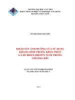 khảo sát ảnh hưởng của sử dụng kháng sinh trong khẩu phần gà đẻ hisex brown nuôi trong chuồng kín