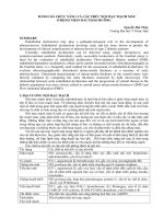 ĐÁNH gía  CHỨC  NĂNG và  câu TRÚC nội mạc MẠCH máu ở BỆNH NHÂN đái  THÁO  ĐƯỜNG 