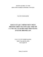 khảo sát quá trình thủy phân protein trên nguyên liệu thịt dè cá tra đã tách béo một phần bằng enzyme bromelain