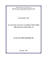 Tự tạo việc làm của lao động nông thôn trên địa bàn tỉnh Nghệ An