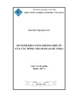 so sánh khả năng kháng khuẩn của các dòng nha đam (aloe vera)