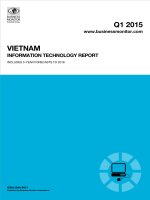 Vietnam information technology report   q1 2015 