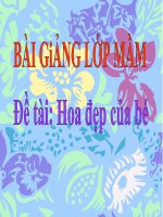 Bài giảng điện tử mầm non lớp Mầm đề tài Hoa đẹp của bé