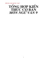 Tổng hợp kiến thức cơ bản ngữ văn lớp 9