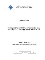 ứng dụng dấu phân tử adn trong việc nhận diện một số tính trạng quan trọng ở lúa