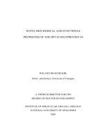 Novel biochemical and functional properties of the HPV 16 oncoprotein e6 