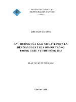 ảnh hưởng của kali nitrate phun lá đến năng suất lúa om4900 trồng trong chậu vụ thu đông 2013