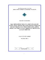 đặc điểm hình thái của một số loài ốc nước ngọt thuộc họ lymnaeidae ở một số huyện trong các tỉnh vĩnh long, đồng tháp, cần thơ và gây nhiễm ấu trùng sán lá gan trên ốc