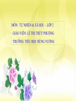 TNXH LỚP 2   ĐƯỜNG GIAO THÔNG