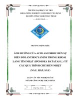 ảnh hưởng của acid ascorbic đến sự biến đổi anthocyanins trong khoai lang tím nhật (ipomoea batatas l ) từ các quá trình chế biến nhiệt (nấu, hấp, sấy)