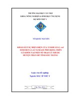 khảo sát sự hiện diện của vi khuẩn e. coli sinh beta lactamase phổ rộng trên gà khỏe tại một số trại gà thuộc huyện trần đề tỉnh sóc trăng