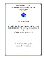 sự phân hủy yếm khí chlorpyrifos ethyl bởi hệ vi khuẩn từ nền đất chuyên canh lúa tại cai lậy tiền giang và phụng hiệp hậu giang