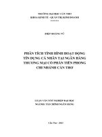 phân tích tình hình hoạt động tín dụng cá nhân tại ngân hàng thương mại cổ phần tiên phong chi nhánh cần thơ