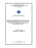 khảo sát ảnh hưởng của kỹ thuật bấm ngọn đến sự sinh trưởng và ra hoa của cây hoa cúc tiger (chrysanthemum sp ) trồng trong chậu