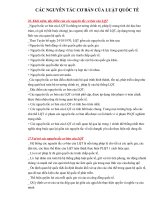 nguyên tắc cơ bản của luật quốc tế