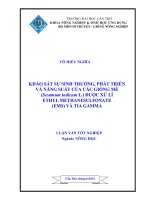 khảo sát sự sinh trưởng, phát triển và năng suất của các giống mè (sesamum indicum l ) được xử lí ethyl methanesulfonate (ems) và tia gamma