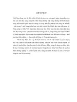 TÌNH HÌNH TỔ CHỨC CÔNG TÁC KẾ TOÁN TẠI TỔNG CÔNG TY GIẤY VIỆT NAM