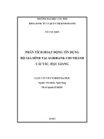 phân tích hoạt động tín dụng hộ gia đình tại agribank chi nhánh cái tắc hậu giang