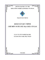 khảo sát quy trình chế biến nước dâu hạ châu có gas