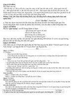 DeDa TS10 chuyen Van Vinh Phuc 2010 (1)