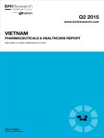 Vietnam pharmaceuticals  healthcare report   q2 2015 