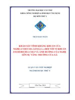 khảo sát tính kháng khuẩn của nghệ (curcuma longa l ) đối với vi khuẩn escherichia coli và ảnh hưởng của nghệ lên sự tăng trưởng của gà