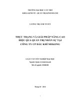 thực trạng và giải pháp nâng cao hiệu quả quản trị nhân sự tại công ty cp dầu khí mekong