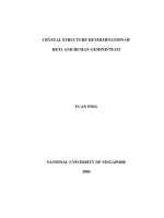 Crystal structure determination of HEX1 and human GEMININ 70 152 