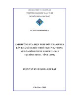 ảnh hưởng của biện pháp bón thấm urea lên khả năng bốc thoát khí nh3 trong vụ lúa đông xuân năm 2012 – 2013 tại bình minh – vĩnh long