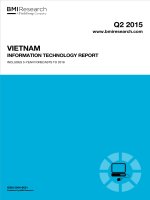 Vietnam information technology report   q2 2015 