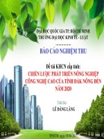 Đề tài nghiên cứu khoa học cấp tỉnh chiến lược phát triển nông nghiệp công nghệ cao của tỉnh đắc nông đến năm 2020   lê đăng lăng