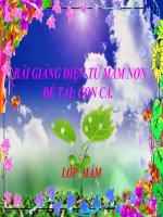 Bài giảng điện tử mầm non lớp Mầm đề tài NBTN Con cá