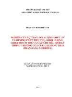 nghiên cứu sự thay đổi lượng thức ăn và dưỡng chất tiêu thụ, khối lượng, chiều đo cơ thể và các chỉ tiêu sinh lý thông thường của cừu cái mang thai (phan rang x dorper)