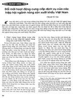 Đổi mới hoạt động cung cấp dịch vụ của các hiệp hội ngành nông sản xuất khẩu của việt nam