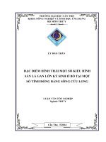 đặc điểm hình thái một số kiểu hình sán lá gan lớn ký sinh ở bõ tại một số tỉnh đồng bằng sông cửu long