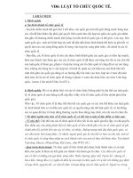 LUẬT tổ CHỨC QUỐC tế