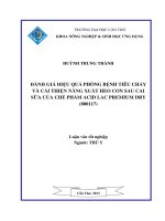 đánh giá hiệu quả phòng bệnh tiêu chảy và cải thiện năng xuất heo con sau cai sữa của chế phẩm acid lac premium dry (800117)