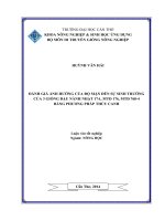 đánh giá ảnh hưởng của độ mặn đến sự sinh trưởng của 3 giống đậu nành nhật 17a, mtđ 176, mtđ 7604 bằng phương pháp thủy canh