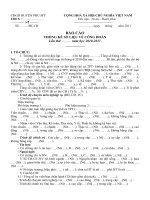 MẪU BÁO CÁO SỐ LIỆU TỔNG KẾT CĐ NH 2010   2011