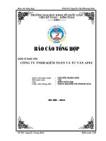 Báo cáo tổng hợp tại Công ty TNHH kiểm toán và tư vấn APEC