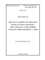 Luận án tiến sĩ vật lý Chế tạo và nghiên cứu tính chất quang của hạt nano silica chứa tâm màu và thử nghiệm ứng dụng trong đánh dấu y  sinh